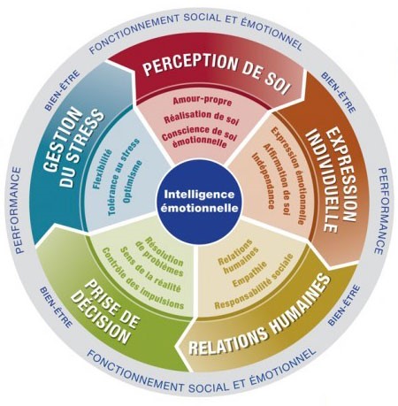 Roue intelligence émotionnelle